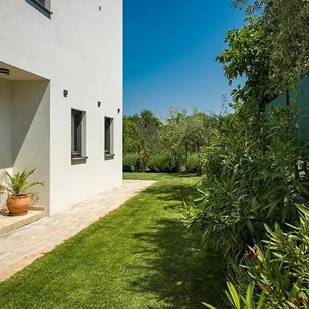 Beautiful In Vikendica *