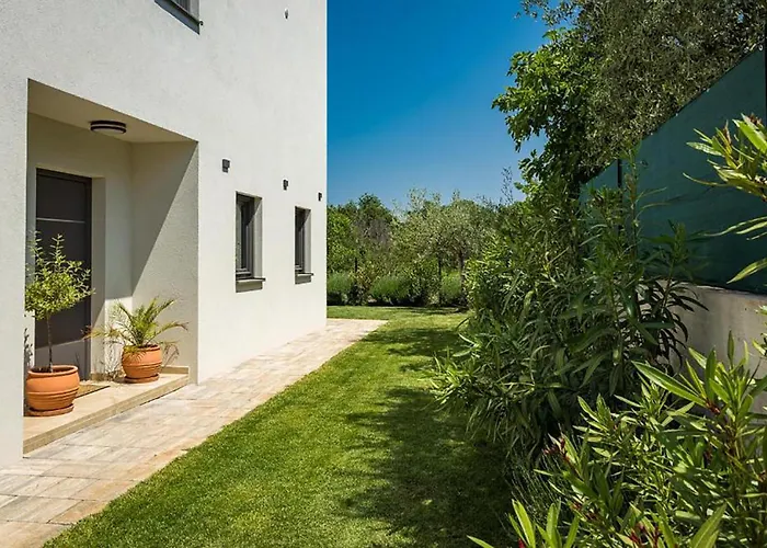 Beautiful In Vikendica *